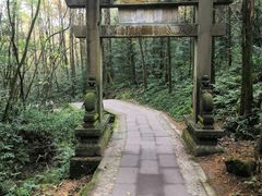-凤栖山