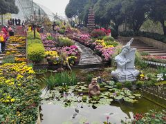 -南山植物园