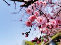 -白塘生态植物园