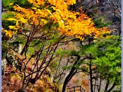 -王顺山国家森林公园