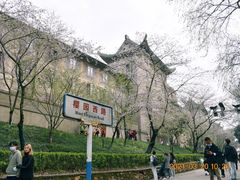 -武汉大学-樱园