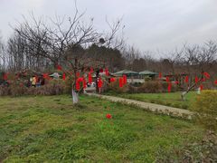 -桤木河湿地公园