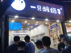 门面-一只酸奶牛(八一路店)
