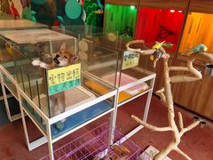 -上海崇明金茂凯悦酒店