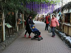 -呀路古热带植物园