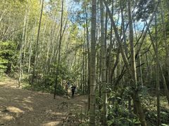 -天适樱花悠乐园