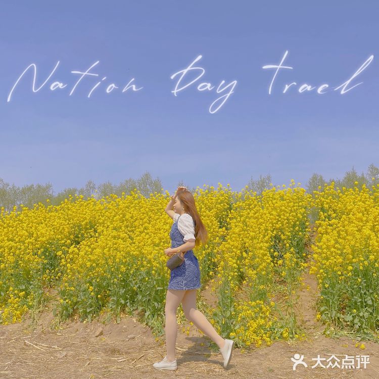 在天津也有【故事里的小黄花🌼】人少景美不要票！