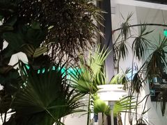 -gaga(深圳南山益田假日广场店)