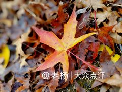 -白水寺森林公园