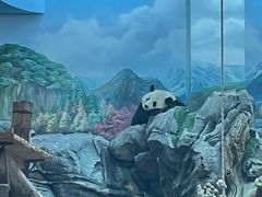 -武汉动物园