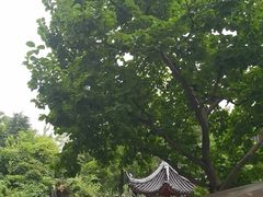 -上海虹桥宾馆味翠餐厅