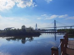 -芒洲湿地公园