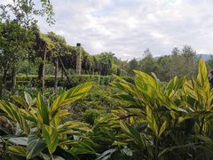 -大屏嶂森林公园