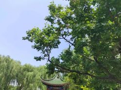 -宝馨月月子中心(友谊医院店)