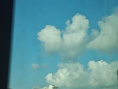 -东郊椰林