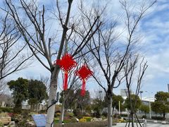 -上海山野camping·户外天幕烧烤·团建拓展营地