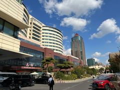 -上海市东方医院(总院)