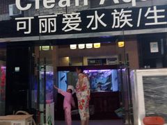 -武汉花鸟市场