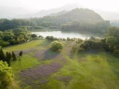 -福建鲤鱼洲酒店