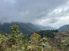 -东白山
