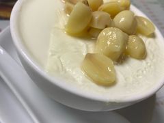 莲子炖奶-义顺牛奶公司(新马路老店)