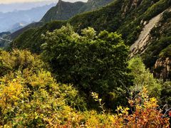 -白草畔自然风景区