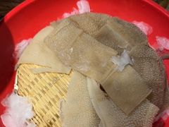 -金辣椒火锅(盘古路店)