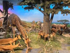 -国家自然博物馆