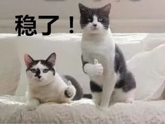 -金龙咖喱