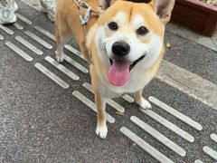 -宠颐生汉谟拉比宠物医院