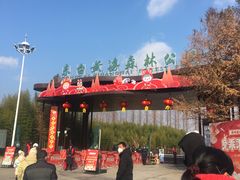 -黄海国家森林公园