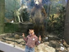 -国家自然博物馆