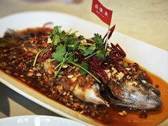 -杨氏青龙虾·羊蝎子(金盛路总店)