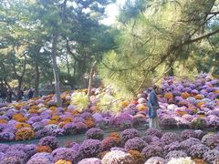 -红高粱海鲜大排档(福成路店)