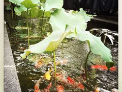 T馆-T館·花园艺术餐厅