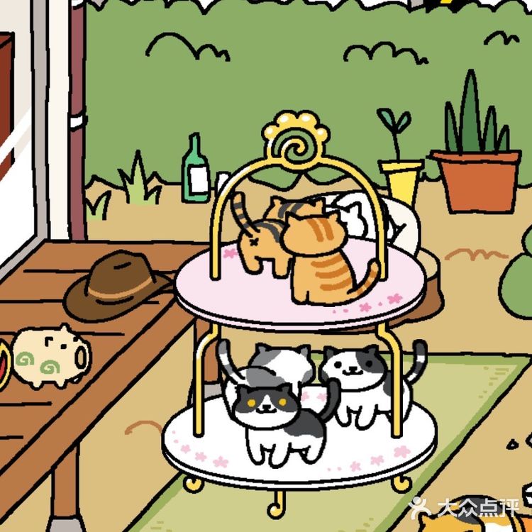 城市向导官｜前五名拿下！！！