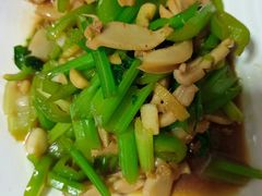 -大班家政月嫂育儿嫂(深圳NO.1店)