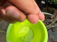 -重庆彩云湖湿地公园