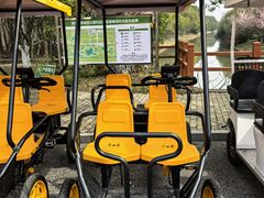 -上海海湾国家森林公园