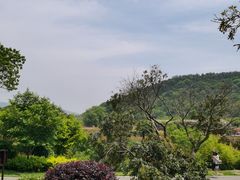 -龙寺生态园