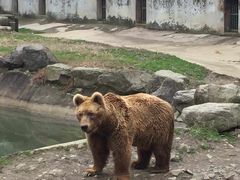 -宁波野生动物园