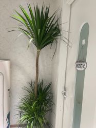 -梵茜儿·头道汤养生馆