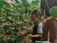 -西部长青自然儿童乐园