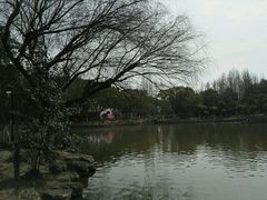-瀛洲公园