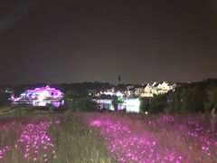 -大塘金香草谷