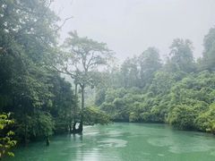 -小七孔景区东门售票处