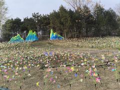 -洛阳市隋唐城遗址植物园