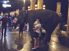 -清迈夜间动物园