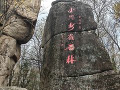 -汤旺河林海奇石景区