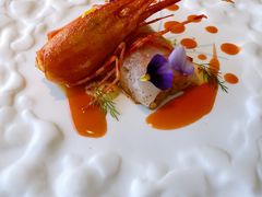 牡丹虾烩饭-九献创意菜(亮马河花园店)